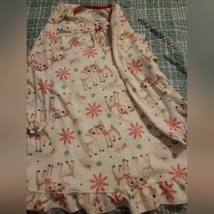 Rudolph Nightgown